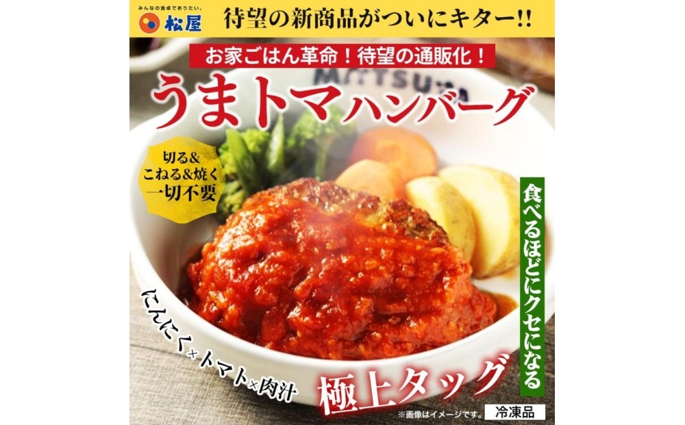 松屋 鉄板焼きハンバーグ10食セット うまトマ＆ブラウン2種ソース | 冷凍 おかず 惣菜 湯煎 レンジ 簡単調理 食べ比べ