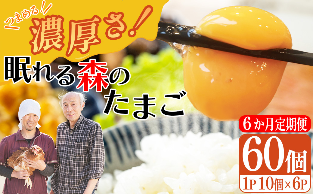 
            【6か月連続お届け】眠れる森のたまご　朝採れ卵60個   たまご タマゴ 卵 鶏卵 濃厚 こだわり 新鮮　【04301-0795】
          