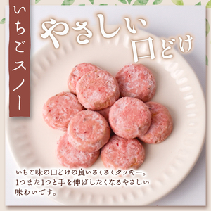 クッキー詰め合わせ セット【クッキー】