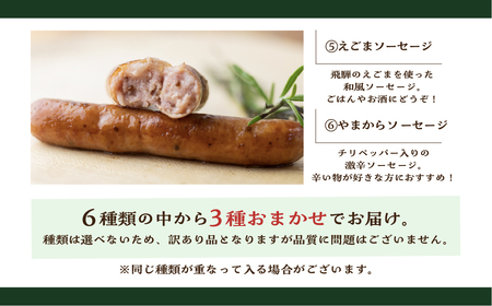 【訳あり】燻製ソーセージ おまかせ3袋セット / 訳あり ソーセージ 山之村 [AU010]