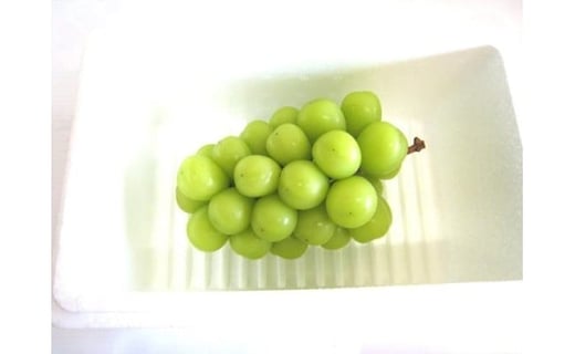 08-04-002　ぶどう(シャインマスカット)1房