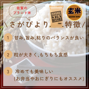 CIC30_『新米予約』令和７年産　さがびより【玄米】10㎏(５㎏×２袋)　※新米収穫後11月以降発送