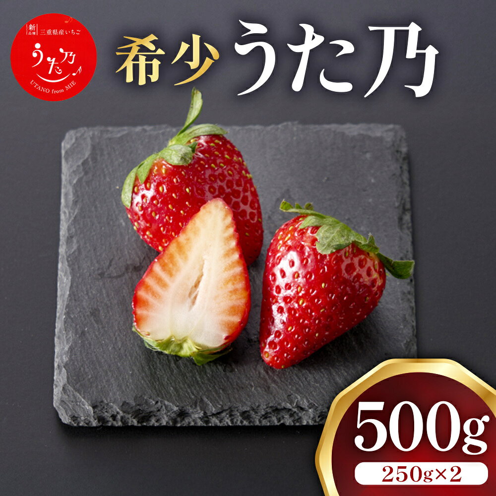 【ふるさと納税】三重県オリジナルいちご新品種 希少な「うた乃」 500g（250g×2） いちご 希少 甘い 三重県 多気町 yms-01