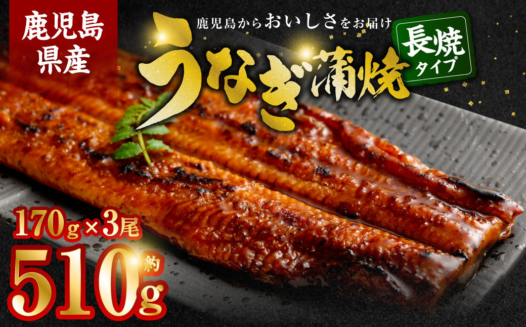 
BS-339 鹿児島県産うなぎ蒲焼 約170g×3尾
