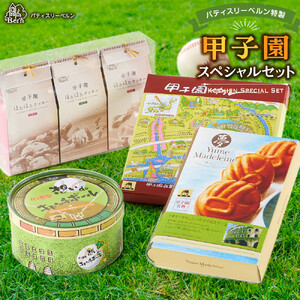 パティスリーベルン特製　甲子園スペシャルセット