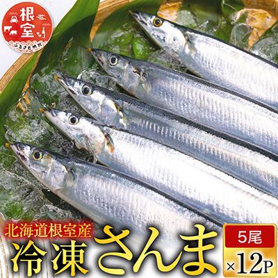 ふるさと納税 根室市 ＜12/21まで年内配送＞★冷凍さんま60尾 D-70002