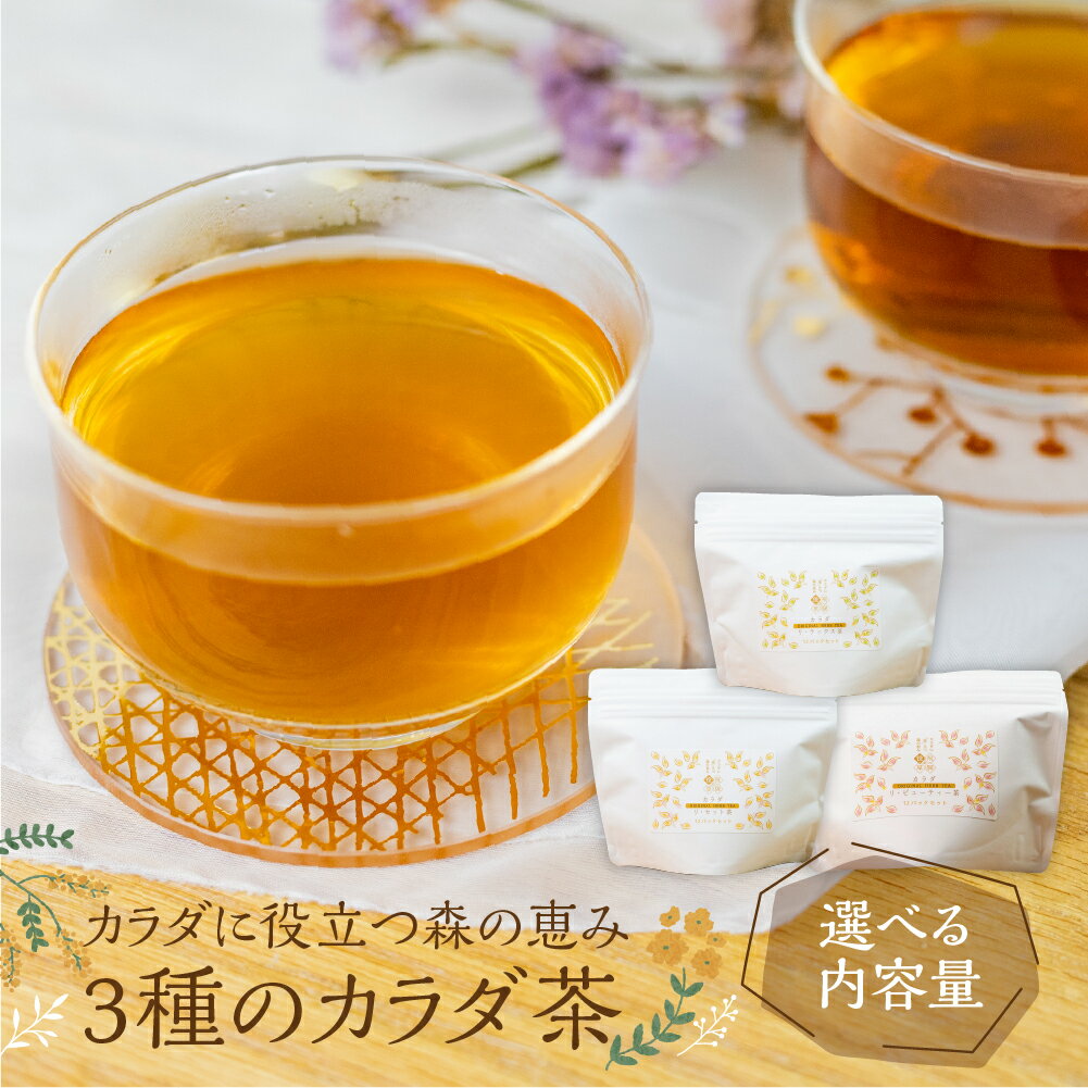 【ふるさと納税】【10営業日以内にお届け】100％飛騨産の薬草を使用 三種のカラダ茶 種類選べる 1袋12パック入り 大容量 お茶 ティーパック 野草茶 ギフト プレゼント 贈り物 自然派 健康志向 [Q2834]