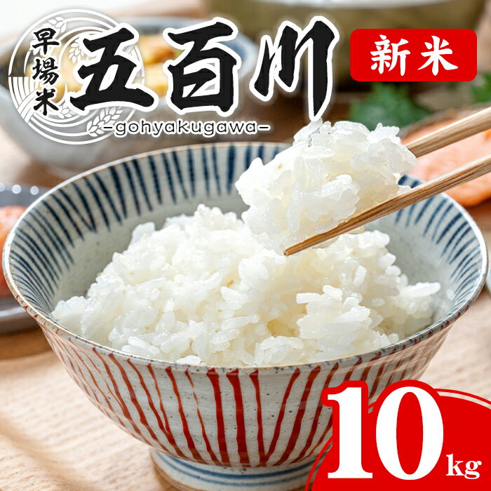 【ふるさと納税】＜令和7年産 新米 先行予約！2025年9月から順次発送予定＞ 五百川 10kg お米 おこめ 米 コメ 白米 早場米 極早生品種 ご飯 ごはん おにぎり お弁当【赤間農業開発株式会社】ta459