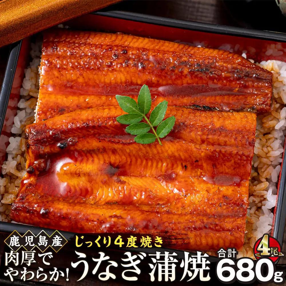 うなぎ 蒲焼 170g×4尾【鹿児島産】地下水で育てた絶品鰻