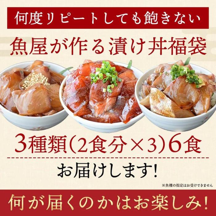 漬け丼 3種×2パック 計6食セット | 漬け丼 海鮮 惣菜 冷凍 真空パック 小分け 海鮮丼 海鮮セット 詰め合わせ 旬の鮮魚 ハマチ カンパチ カツオ 鯖 サバ ヒラマサ 平政 マグロ アジ ヒラ