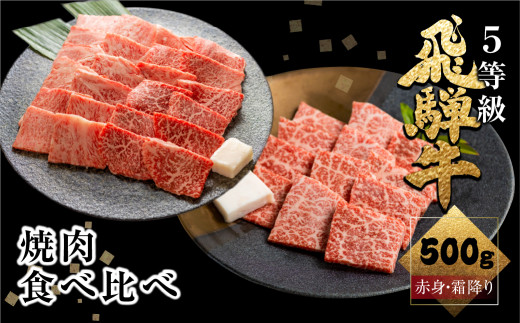 飛騨牛ロース・うでもも食べ比べセット(焼肉)　計500g 焼き肉 BBQ 国産牛 国産 牛肉 肉 厳選 熟成 贈答用