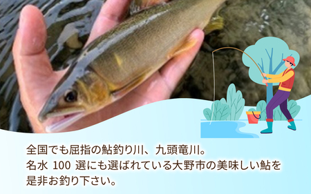 D-100002　越前大野　鮎釣り年券とお食事（1回分）1名様分