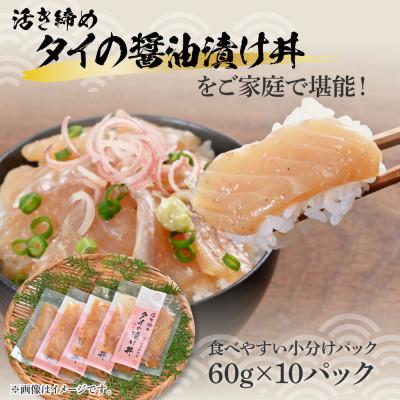 ふるさと納税 土佐市 訳あり　活き締めタイの醤油漬け丼　20袋セット |  | 03