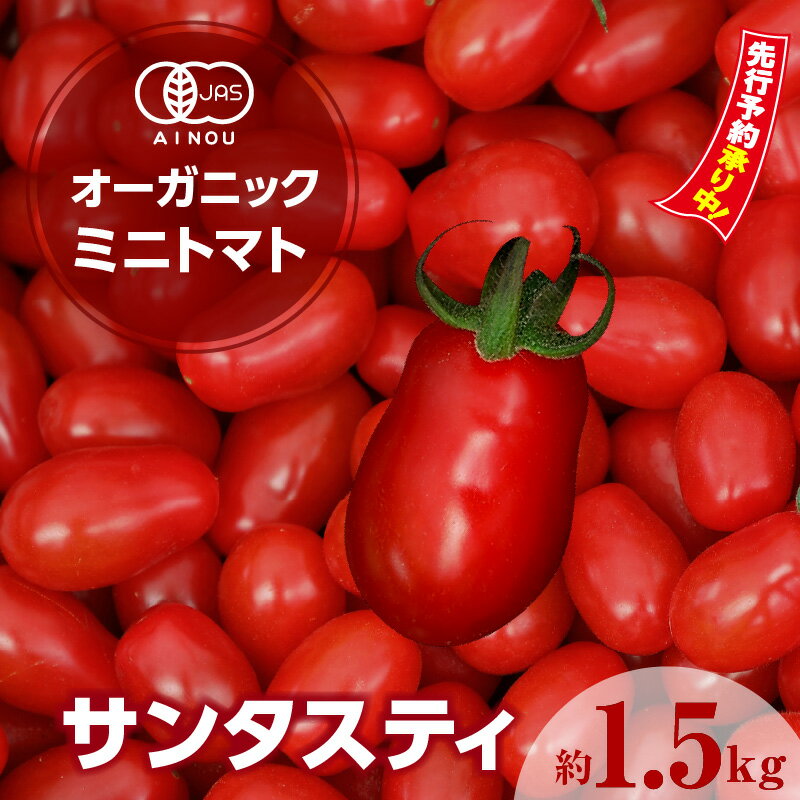 【ふるさと納税】＼先行予約／ オーガニックミニトマト サンタスティ【約1.5kg】【配送時期：2025年12月～2026年5月】高糖度 有機ミニトマト 面白い形 珍しい ミニトマト トマト プチトマト JAS 野菜 農作物 ヘタなし やみつき 有機野菜 春 旬 縦長 特産品 愛知県 送料無料