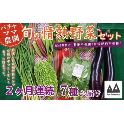ふるさと納税 下妻市 【毎月定期便】農園自慢の情熱野菜セット7品(種類おまかせ)全2回