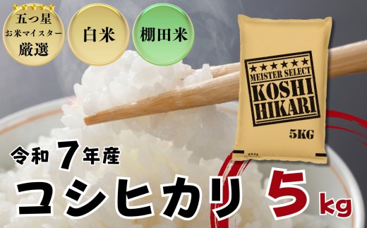 ≪令和７年産≫佐賀県産 コシヒカリ 白米5㎏ / 大塚米穀店［A0194-0019］