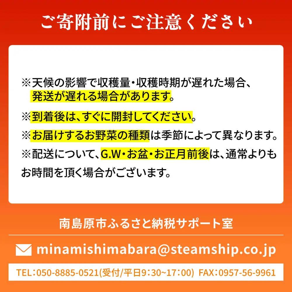 【12回定期便】野菜セット 12から13品目 野菜定期便[SGG001]