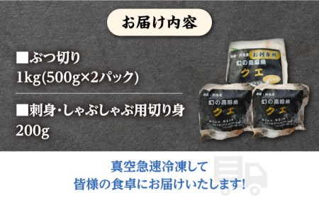 【24年11月より順次発送】対馬産 幻の高級魚 クエ 1.2kg《対馬市》【保家商事】 くえ 高級魚 アラ 魚 クエ 希少 人気 ランキング 冷凍 対馬 長崎 九州 つしま 対馬市 海鮮 魚介 刺身 
