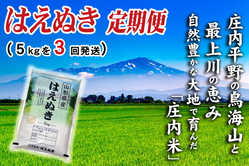 
                  【3ヶ月定期便】 はえぬき 5kg×3ヶ月 連続 計15kg 令和7年産 山形県産 毎月下旬頃お届け 東北 山形県 酒田市 お米 精米 白米 定期便 庄内い～ものや SI SF0360
                