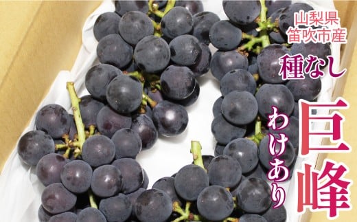 【2026年発送★先行予約】山梨県笛吹市産わけあり巨峰（たねなし） 090-018-26y