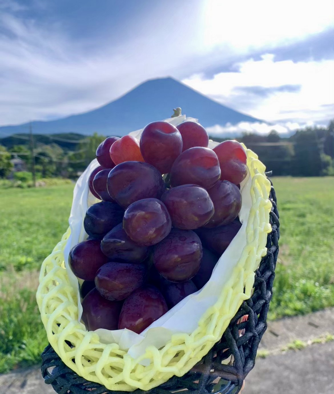 笛吹市産大粒富士の輝き1房800g