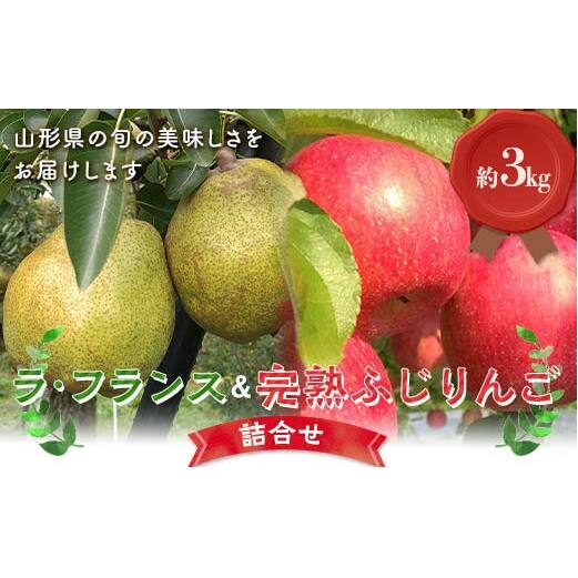 【令和7年産先行予約】 ラ・フランス & 完熟ふじりんご 詰合せ 約3kg (2L～3L) 《令和7年11月中旬～発送》 【全国りんご選手権 銀賞】 『船中農園』 山形県 南陽市 [2177]