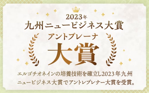 【12回定期便】お米と米?だけで作った生きた酵素！ さきちの『生あまざけ』 100ｇ×30本【株式会社 咲吉】[OBF014] / 甘酒 生甘酒 酵素甘酒 健康甘酒 なまあまざけ 酵素 米 米糀 糀 