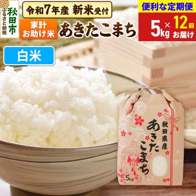 ふるさと納税 秋田市 先行受付《定期便12ヶ月》あきたこまち5kg 白米|15_kml-210512hs