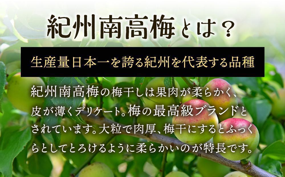 紀州南高梅使用 しそ仕込み完熟梅干し 約640g 塩分 約10％ [TM195]