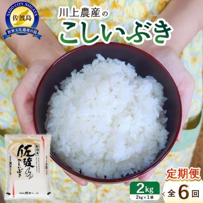 ふるさと納税 佐渡市 【毎月定期便】佐渡 川上農産のこしいぶき 精米(2kg)全6回