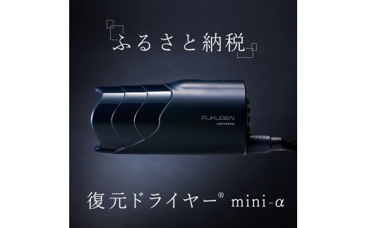 
            復元ドライヤー mini α | ドライヤー サロン ヘアケア 家電 電化製品 どらいやー 髪 製品 日用品 本体 コンパクト 軽い 風呂 洗面台 適温 適湿 振動気化方式 長野県 松本市 ふるさと納税
          