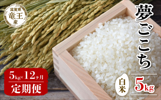 【新米 先行予約】 新米 令和8年産米 夢ごこち 白米 5kg 定期便 12ヶ月 ゆめごこち 定期 12か月  5kg × 12回 計 60kg 米 滋賀県 竜王町 国産 農家直送 特別栽培米 2026年産 こめ kome 国産 農家直送 環境こだわり お米 こめ おこめ 産地直送 送料無料 滋賀県 竜王町 ふるさと納税 FK