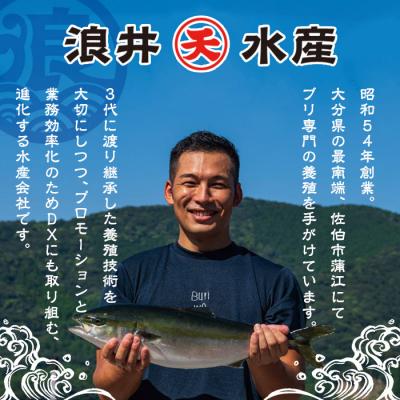 ふるさと納税 佐伯市 天薫 ぶり藁焼き (約170g×2個) |  | 02