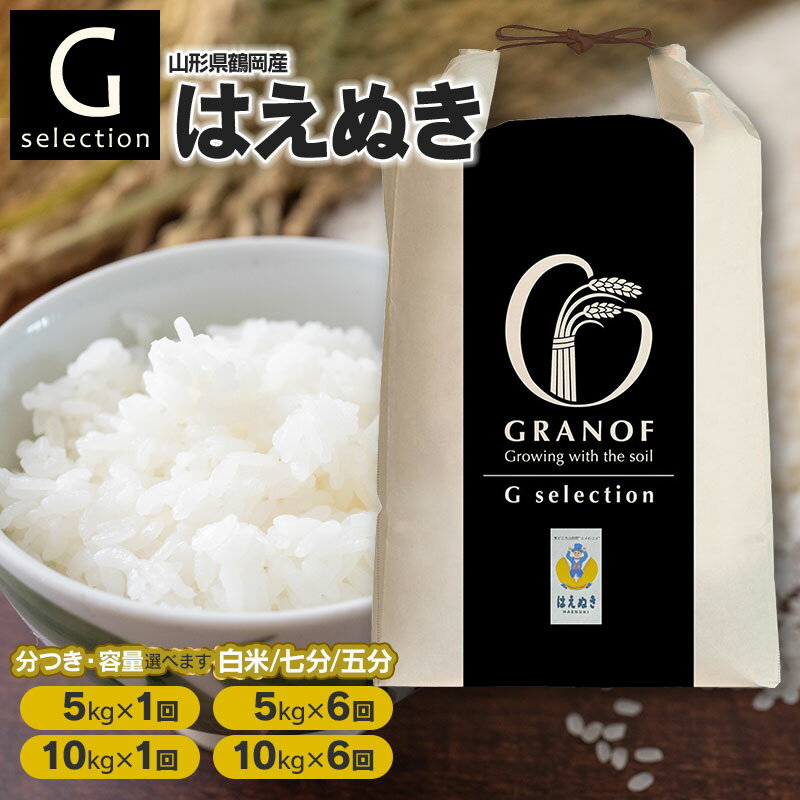 【ふるさと納税】令和7年産【新米】Gセレクション はえぬき 白米(精米) 山形県鶴岡産 容量（5kg・10kg）と回数（1回・6回）選べる　定期便（毎月1回中旬発送）　株式会社グラノフ