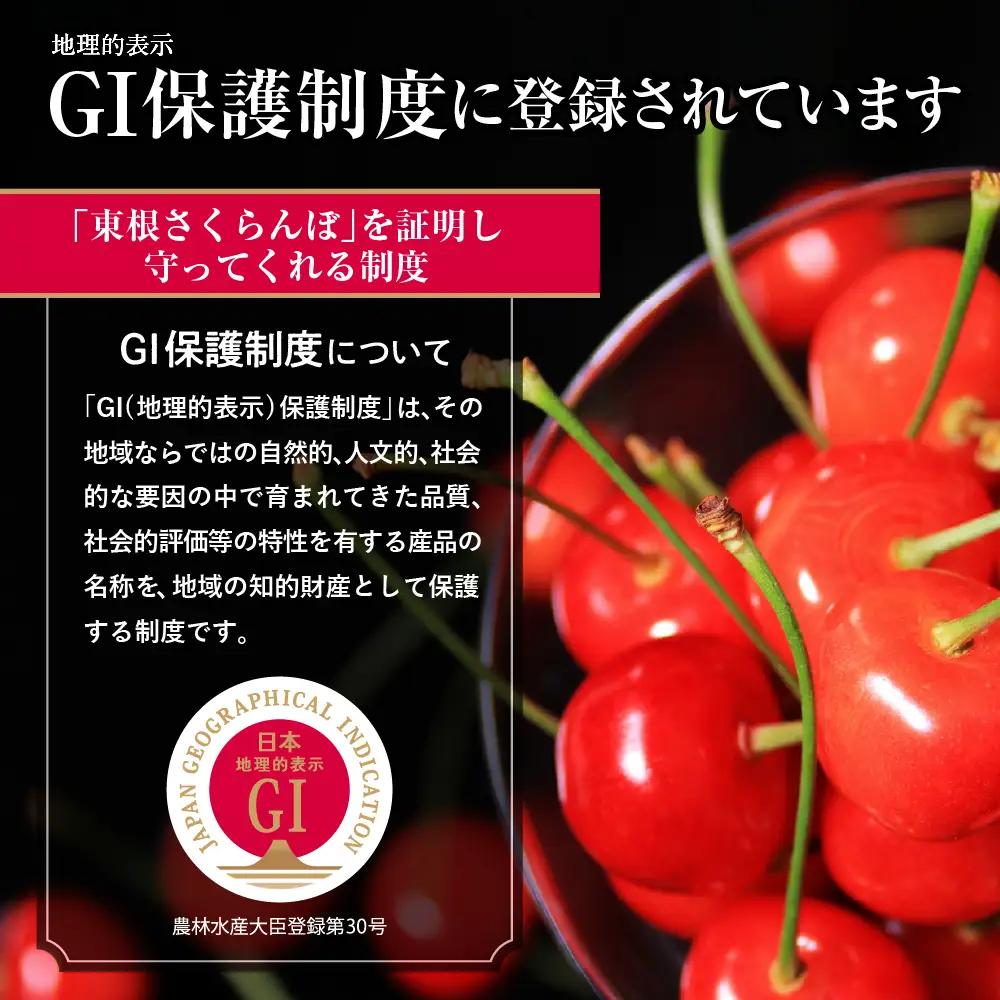 2027年産 GI 東根 さくらんぼ 佐藤錦 800g JA さくらんぼ