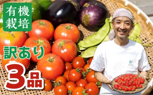 【令和8年産先行予約】 訳あり無農薬栽培 野菜セット 3品 お野菜のレシピ付き ありがとうファーム 訳あり 受賞農家