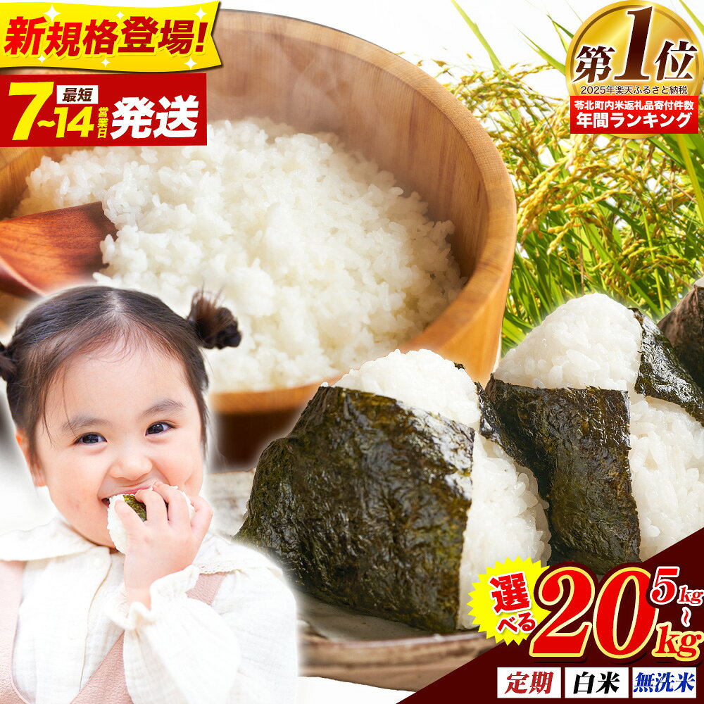 【ふるさと納税】米 無洗米 も選べる 熊本県産 肥後うまか米 5kg 10kg 20kg 定期便 3ヶ月 6ヶ月 12ヶ月 熊本県産 ふるさと納税 無洗米 白米 精米 こめ ふるさとのうぜい コメ お米 おこめ ブレンド米《出荷時期をお選びください》