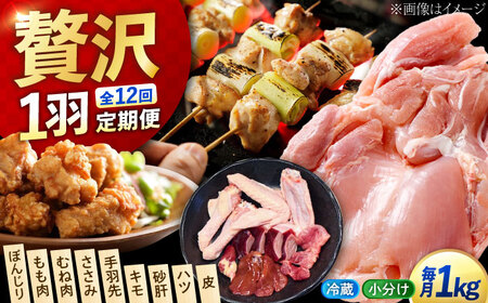 【全12回】鶏肉 一黒シャモ 約1kg [XAH007] 鶏肉