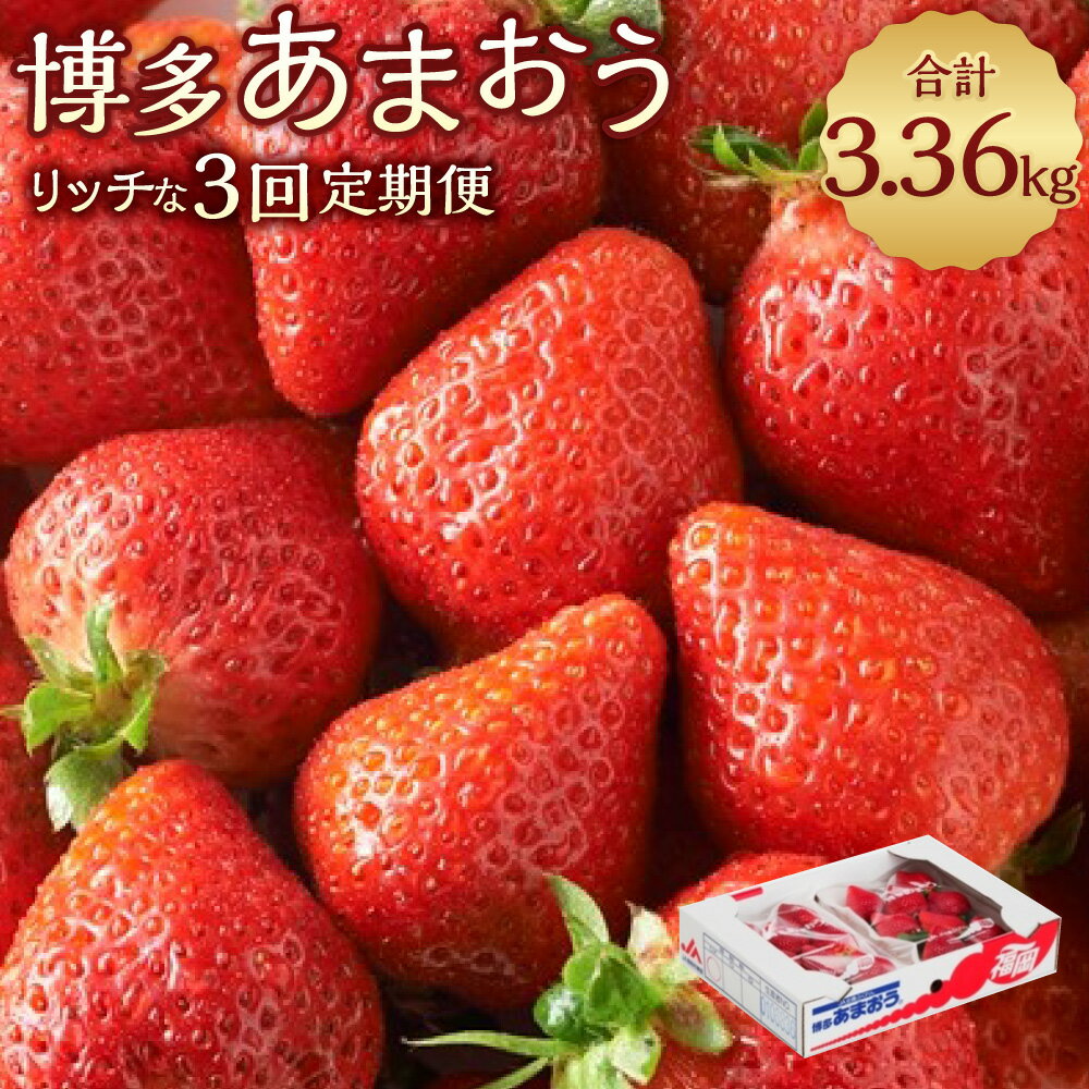 【ふるさと納税】【定期便】博多あまおう リッチな3回定期便 計3.36kg 計12パック あまおう いちご イチゴ 苺 果物 くだもの フルーツ 冷蔵 国産 九州 福岡県 岡垣町 送料無料 【2025年12月上旬～2026年2月下旬発送予定】