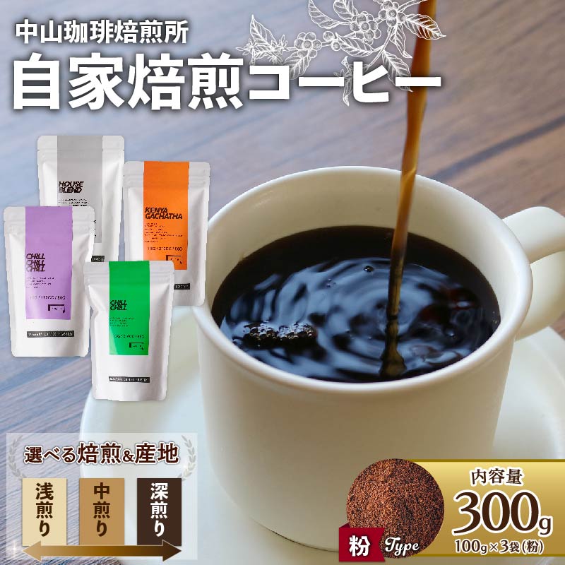 【ふるさと納税】 【粉】自家焙煎コーヒー 産地・焙煎別（ 浅煎り 中煎り 中深煎り 深煎り ）中山珈琲焙煎所 自家焙煎 コーヒー 300g(各100g × 3袋) 焙煎 産地 別 コーヒー豆 粉 珈琲 飲み比べ ハウスブレンド オールドファッション エチオピア ブラジル