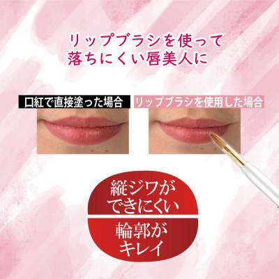 ふるさと納税 松原市 イタチ×馬毛 発色が良く塗りやすい リップブラシ (シルバー) |  | 02