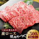 【ふるさと納税】くまもと黒毛和牛 焼肉用 肩ロース 500g（250g×2pc）【馬刺しの郷 民守】[ZBL033]