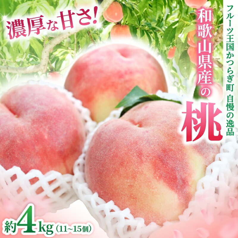 【ふるさと納税】 和歌山県産の桃 約4kg（11~15個） 【2025年7月上旬〜8月上旬発送】 [Ei2] | もも フルーツ 果物 くだもの 食品 人気 おすすめ 送料無料