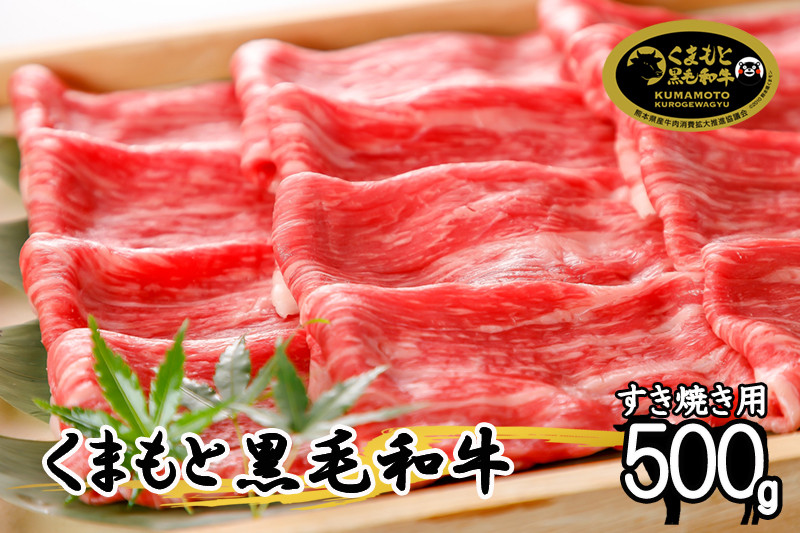 
【出荷月指定あり】くまもと黒毛和牛500g（すき焼き用）
