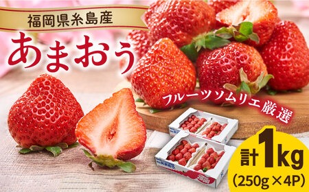 【先行予約】糸島産【春】 あまおう 4パック 【2026年2月上旬以降順次発送】《糸島》【南国フルーツ株式会社】 [AIK008]