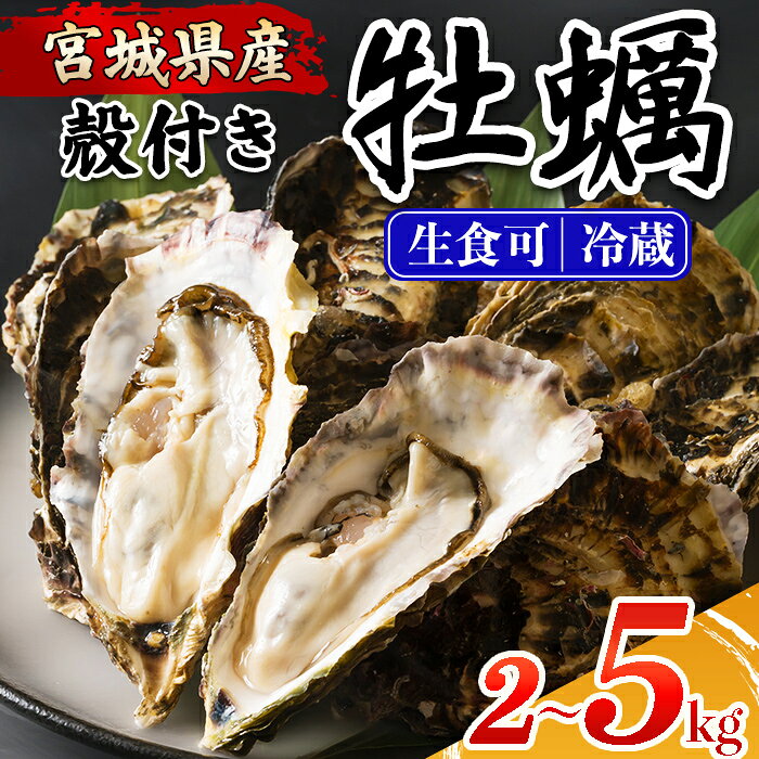 【ふるさと納税】≪先行予約受付中！≫殻付き牡蠣（生食用）冷蔵 選べる内容量 2kg～5kg 生牡蠣 宮城県産 牡蛎 牡蠣 カキ かき 生食 オイスター カキフライ 牡蠣鍋 海鮮 国産 魚貝類 バーベキュー BBQ【カタクチ商店株式会社】ta730・ta731・ta732・ta733
