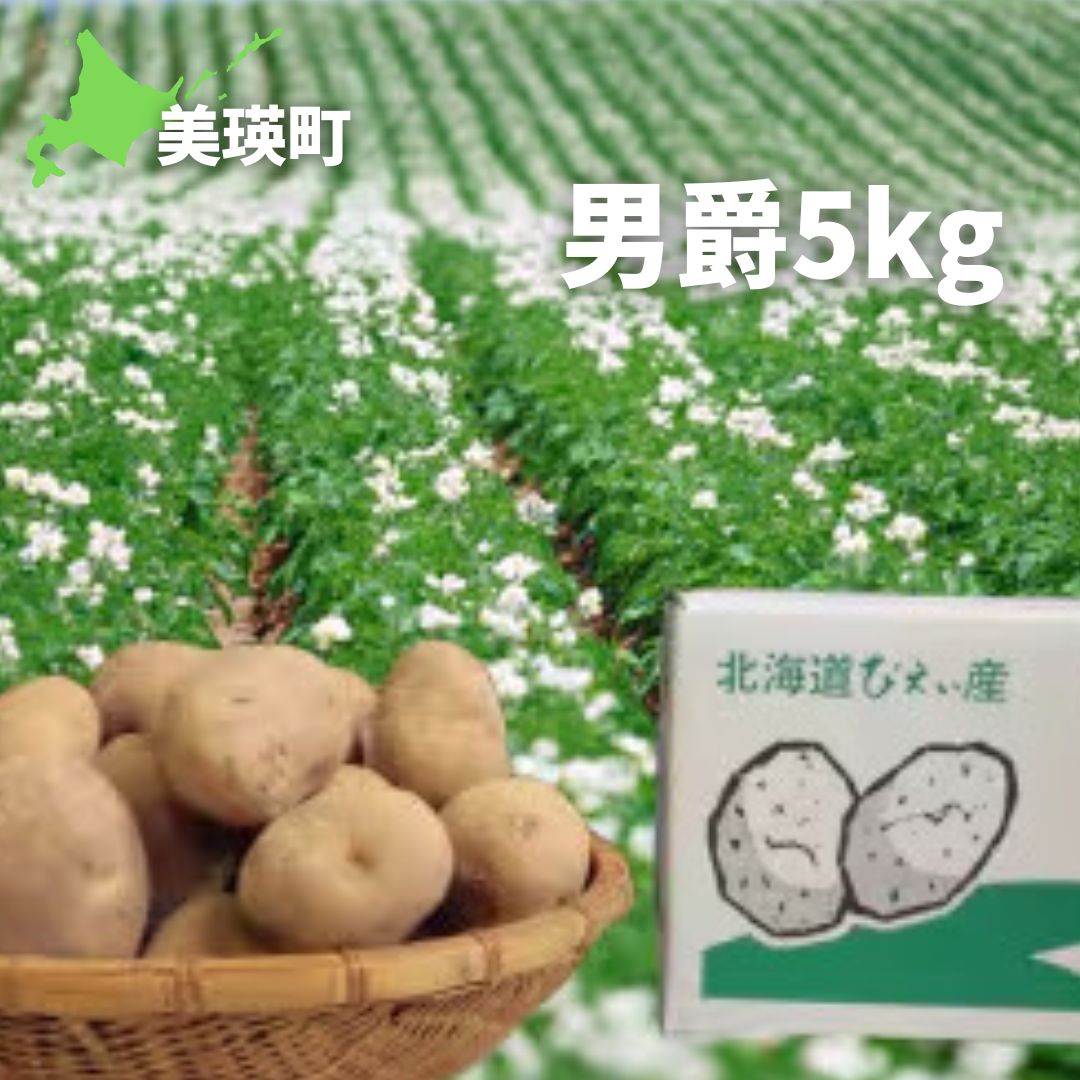 【ふるさと納税】≪令和7年産予約受付！≫おおとり 男爵5kg | ふるさと納税 人気 おすすめ ランキング 旬 じゃがいも 芋 ジャガイモ いも イモ 新鮮 鮮度抜群 野菜 ベジタブル おいしい 健康 北海道 美瑛町 送料無料［0075-03］