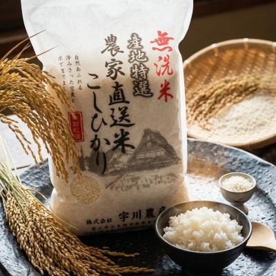 ふるさと納税 小矢部市 【令和7年産】慣行栽培コシヒカリ(無洗米)　精米　10kg