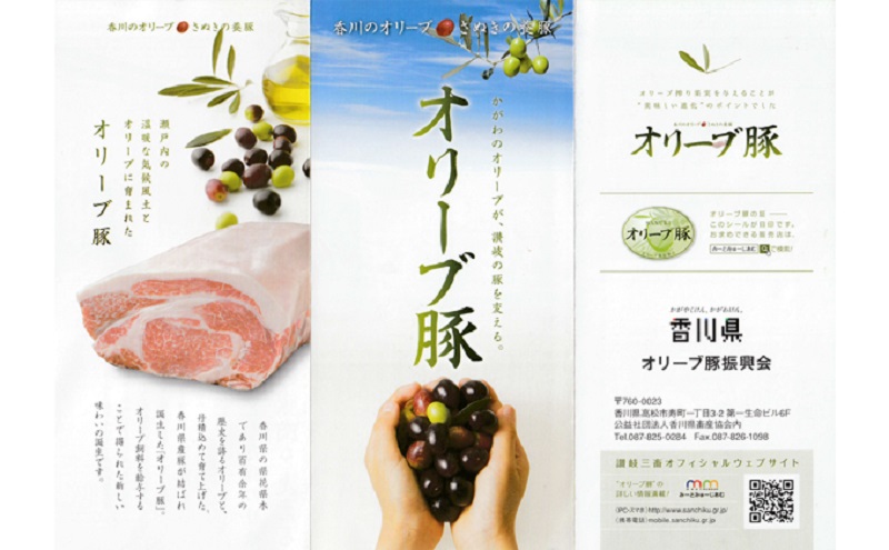 豚肉 定期便 3回定期便 偶数月お届け 隔月 オリーブ豚 香川県産 国産 ロース スライス 1kg 500g × 2パック ローススライス 豚ロース 豚ロース肉 薄切り 小分け しゃぶしゃぶ 国産豚 
