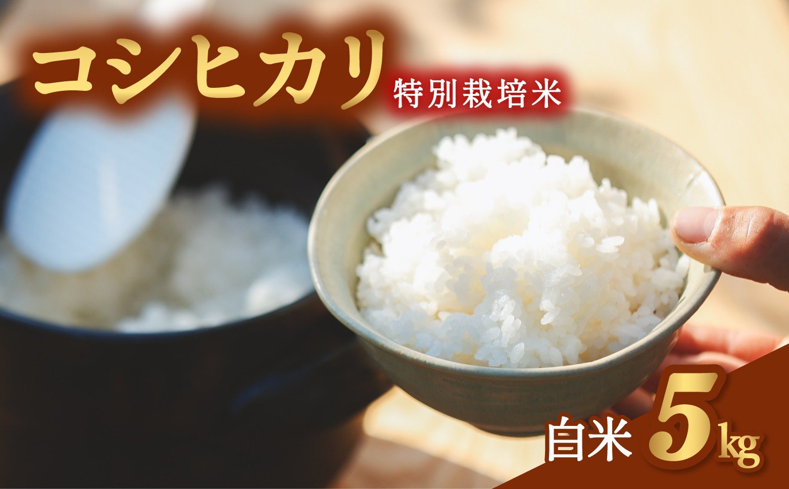 
            コシヒカリ 特別栽培米 白米 5kg 
          